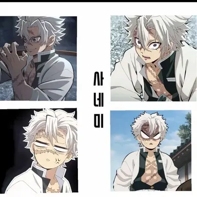 Profile image of 시나즈가와 사네미