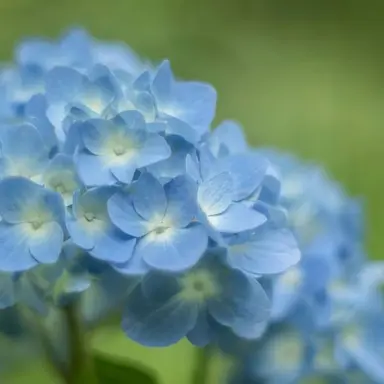 Profile image of 잠뜰