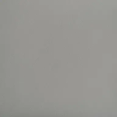 Profile image of チャンス
