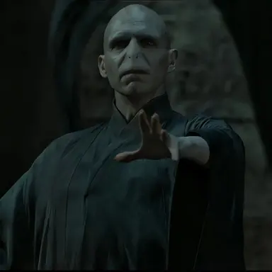 Profile image of Voldemort