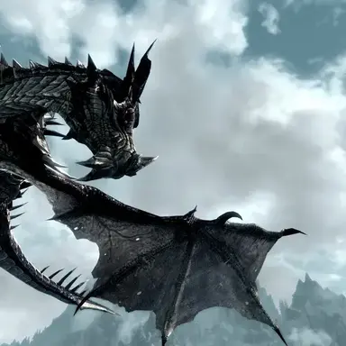 Profile image of 黒いドラゴン