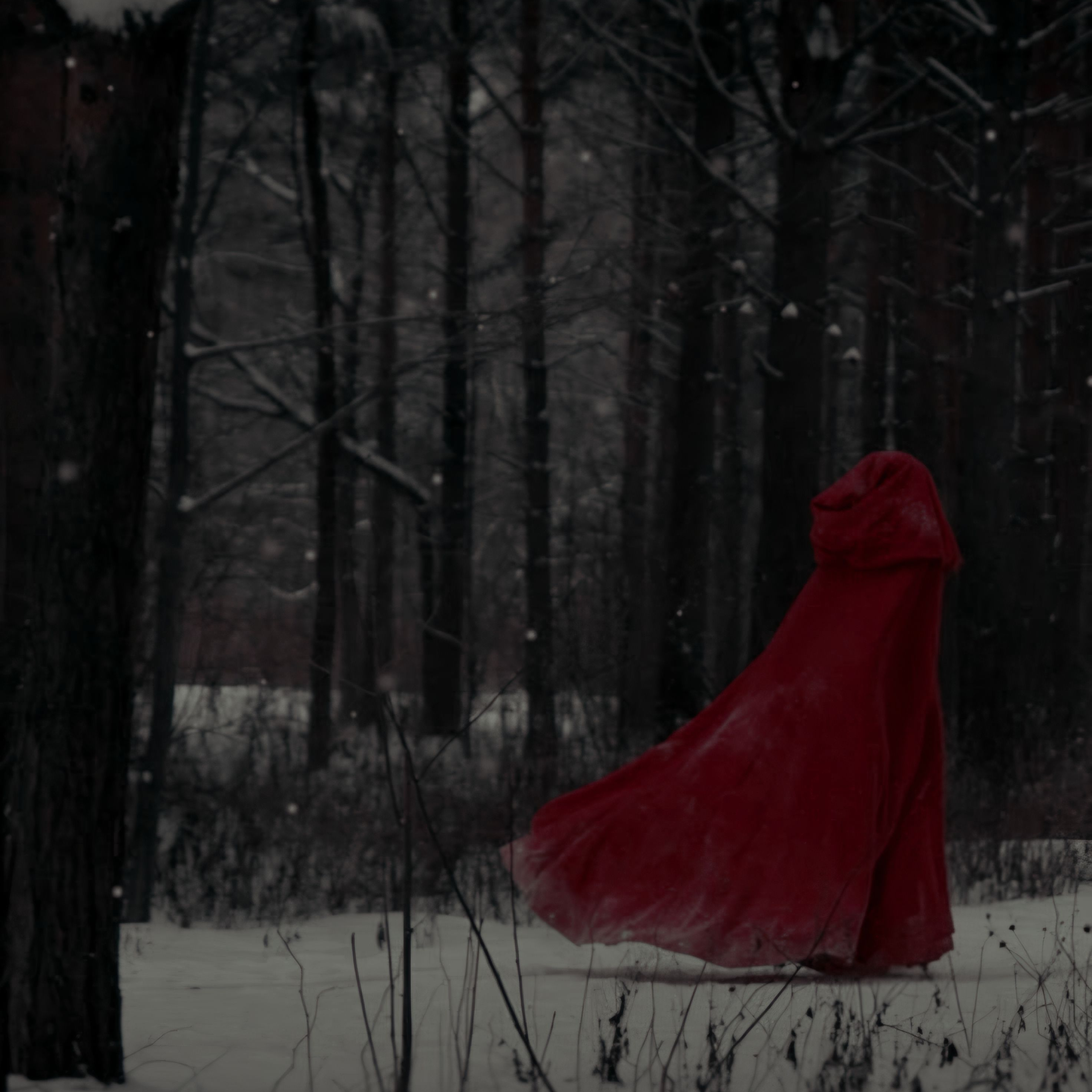 The Red Riding Hood 대표 이미지