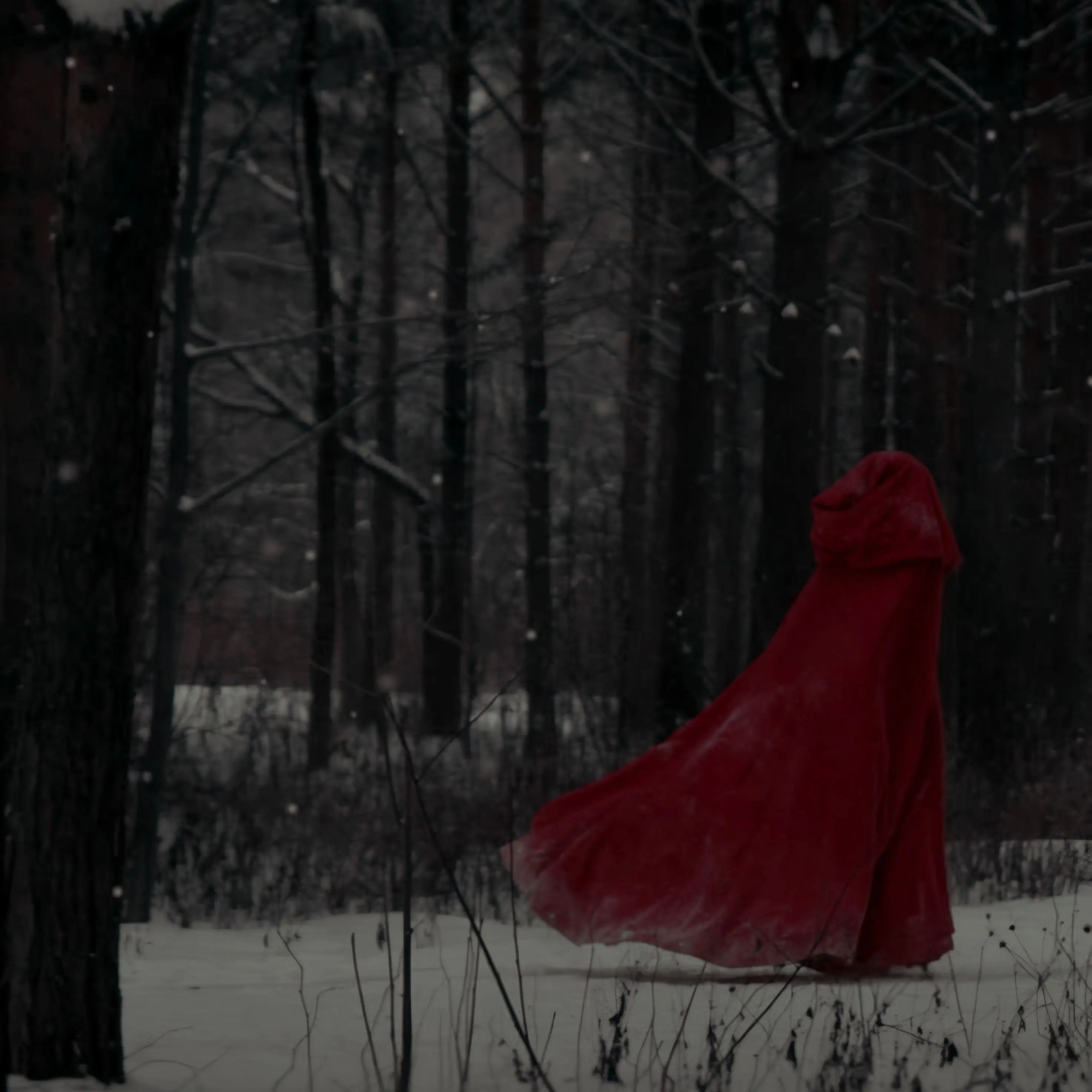 Kingsojoukang0430의 The Red Riding Hood