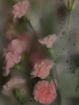 jyaz의 『 終わりにしようよ 。 』