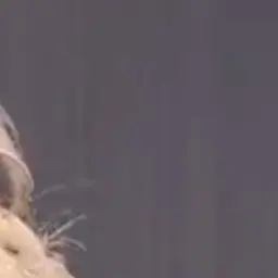 Profile image of 悠佑