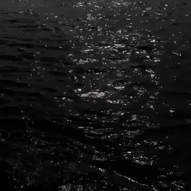 Profile image of 우융