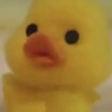 Profile image of 선생님