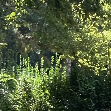 Profile image of 동민