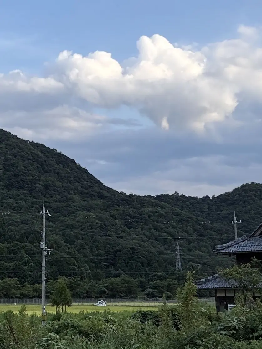 umeumekon의 ごめん。覚えてないや、笑