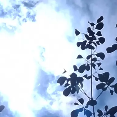 Profile image of 뜰팁 괴물학교