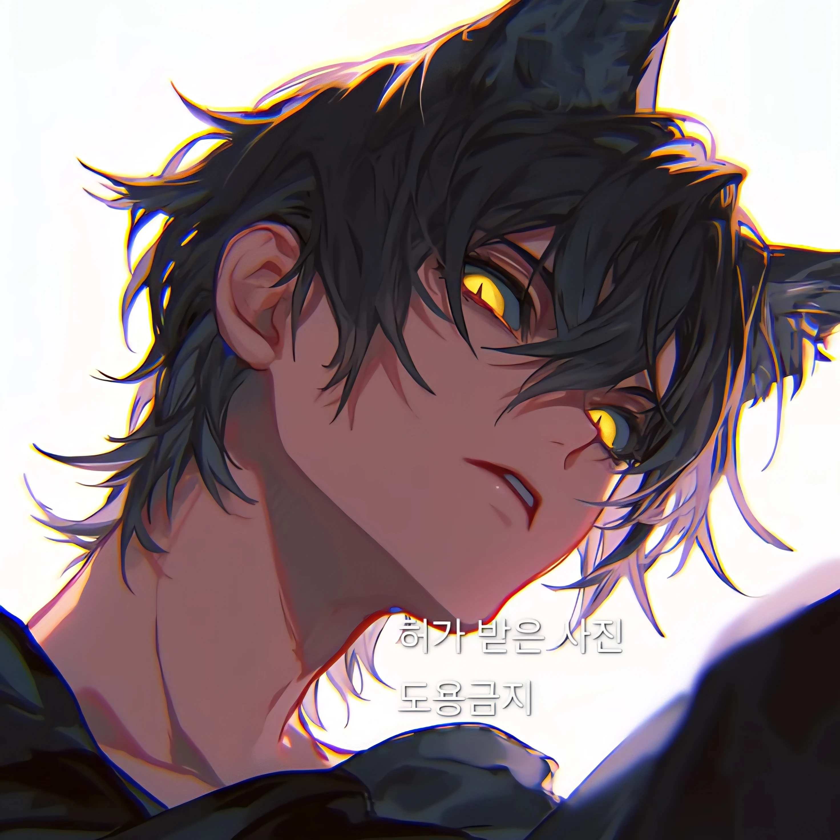 user