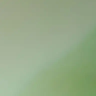 Profile image of 공룡
