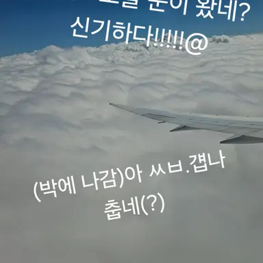 Profile image of 오유란