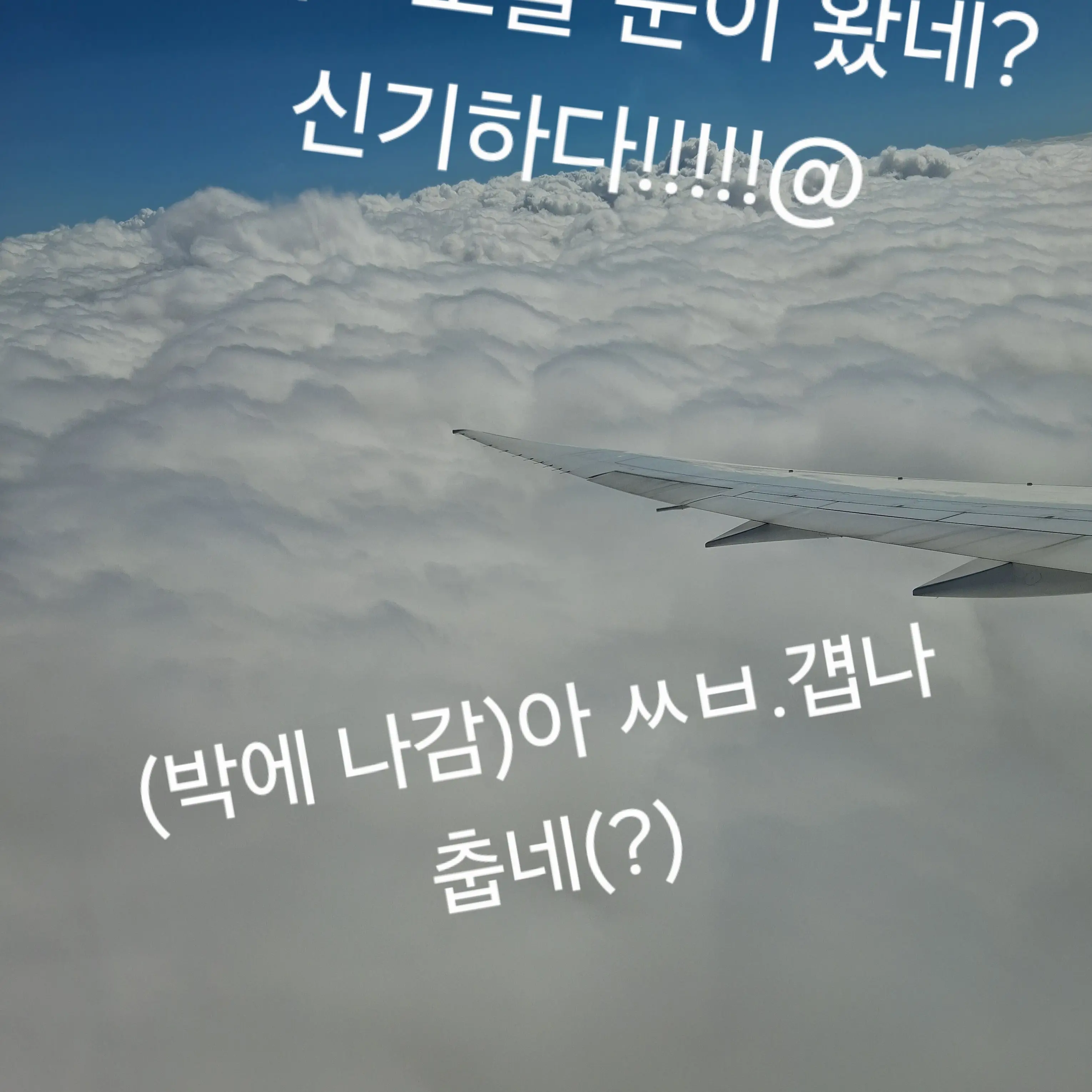 SweetAngel4401의 스프런키 (여우 있음요 )