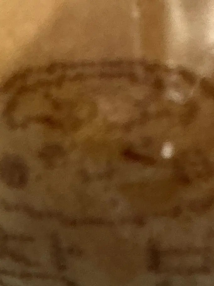 bbangbbok의 개인용인데요..그만해주세요…ㅠㅠ