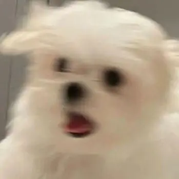 Profile image of 강여상