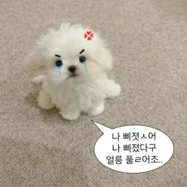 Profile image of 정윤호