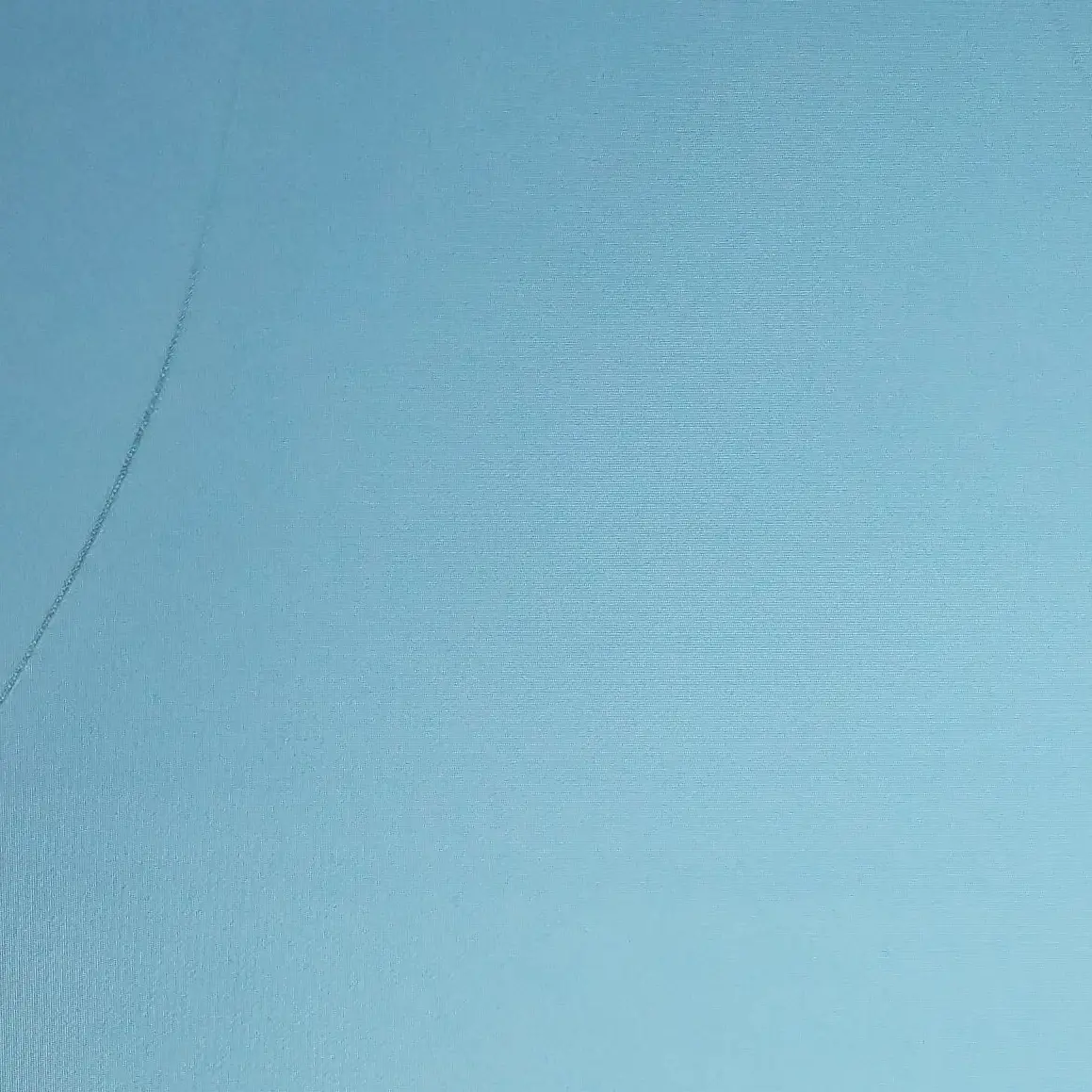 WavyStork4581의 덴지