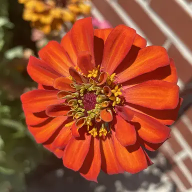 Profile image of 이도윤