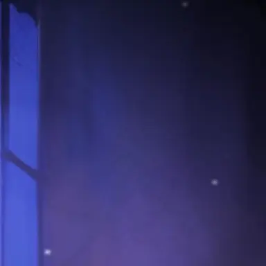 Profile image of 리키