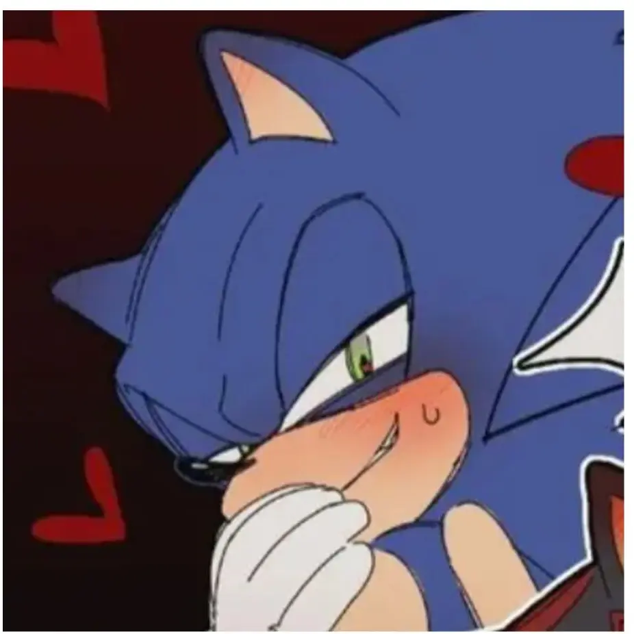 LovelyRobin5115의 소닉