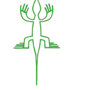 Profile image of 코카라이아