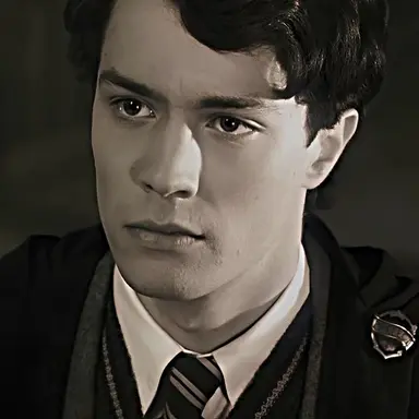 Profile image of Tom marvolo riddle