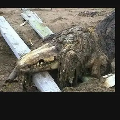 Profile image of SCP-682