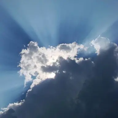 Profile image of 김지웅