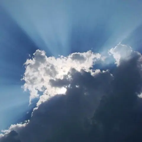 HarshDiver3051의 뱀파이어 배우 김지웅