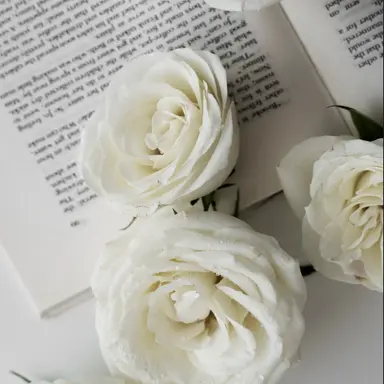 Profile image of SnowMan