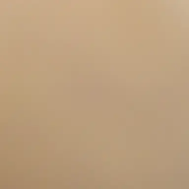 Profile image of 井埜 心晴