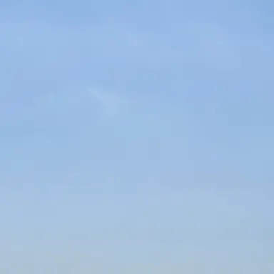 Profile image of 루미