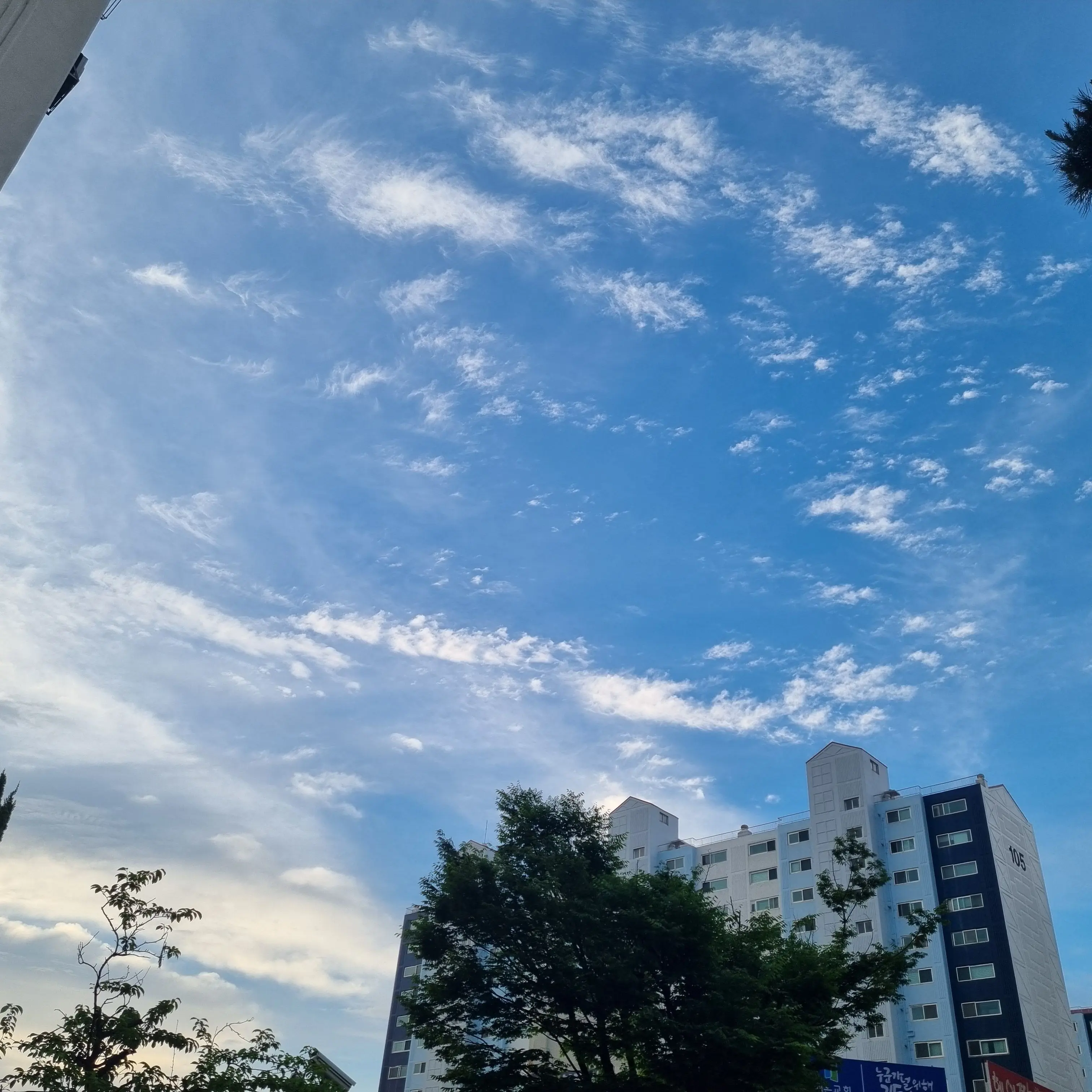 Haminhwa_05의 천안 흥타령 축제