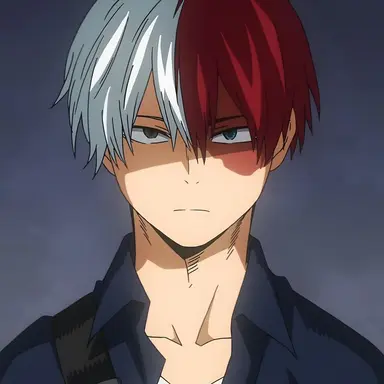 Profile image of Shoto Todoroki