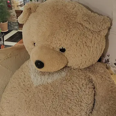 Profile image of Rudy