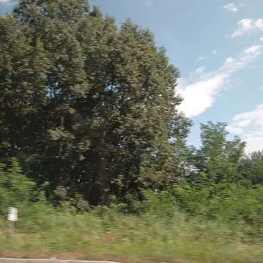 Profile image of 밥풀