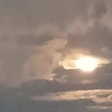 Profile image of 쌈뽕 하신 유저분들