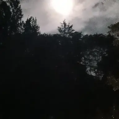 Profile image of 준브