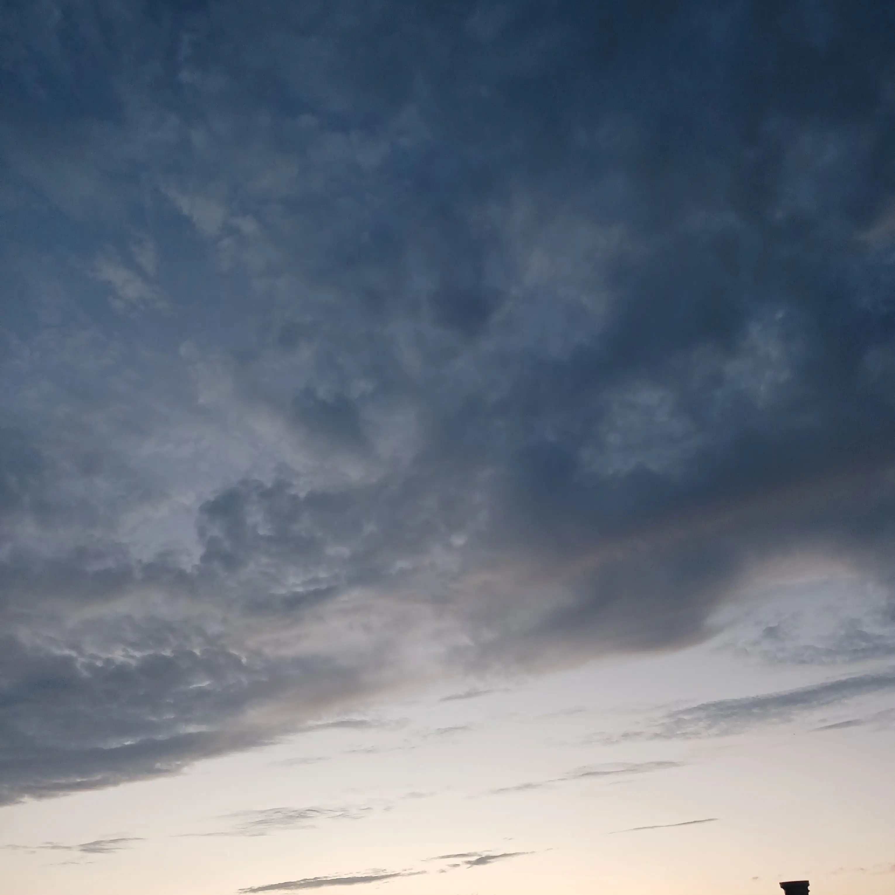 OrangeWeek2678의 팀나빠가 싸우는데 아픈 유저님!!여우