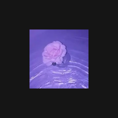 Profile image of 수현