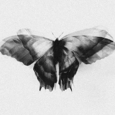 Profile image of 전정국