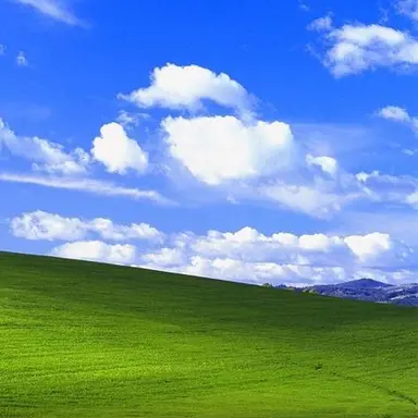 Profile image of 여우