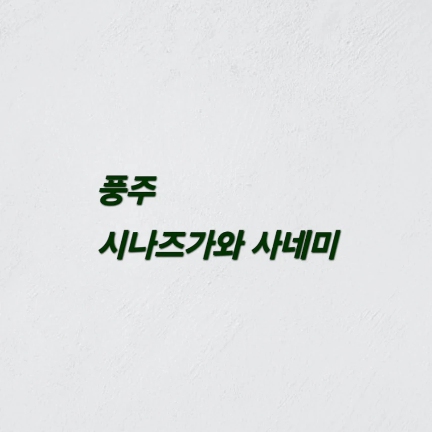 시나즈가와 사네미