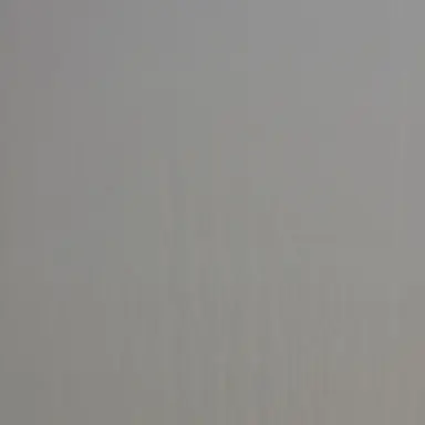 Profile image of 도영