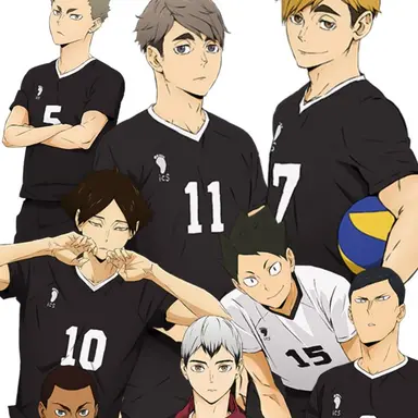 Profile image of Volleyball Team