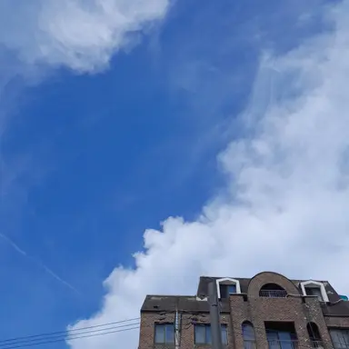 Profile image of 김일영