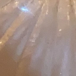 リー