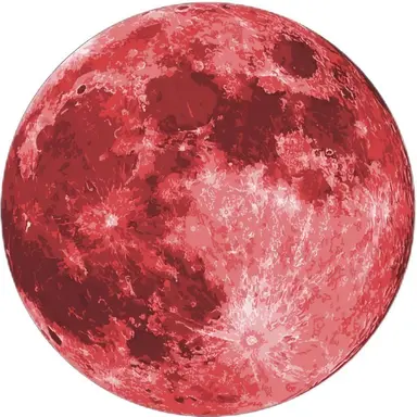 Profile image of チュウ