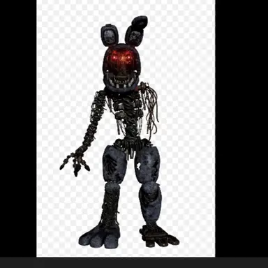 Profile image of 보니